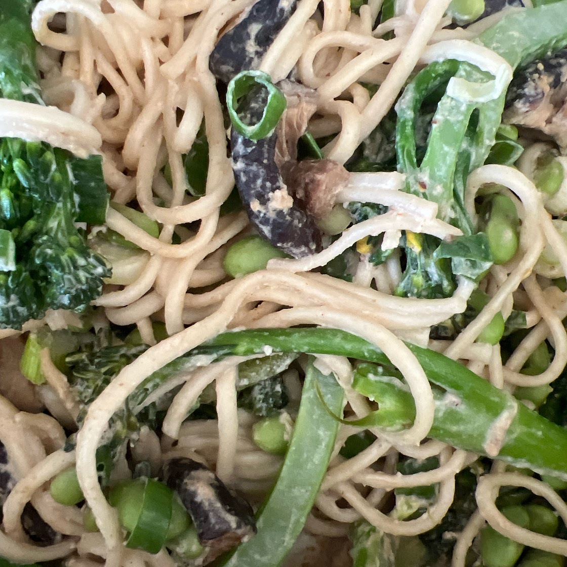 HIGH-PROTEIN UDON NOODLE MEAL-PREP