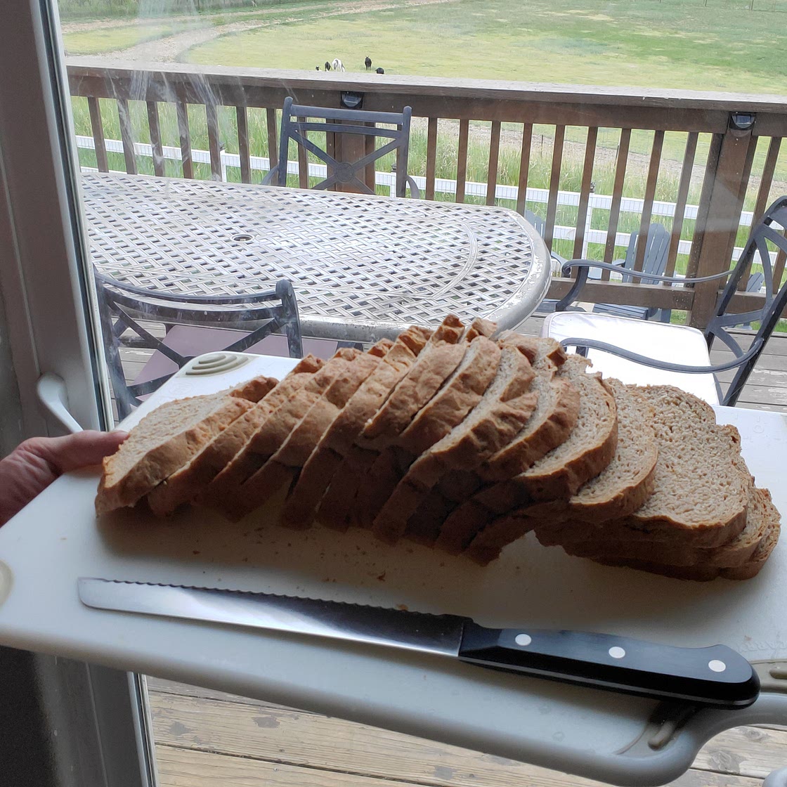 Whole Wheat Sandwich Bread