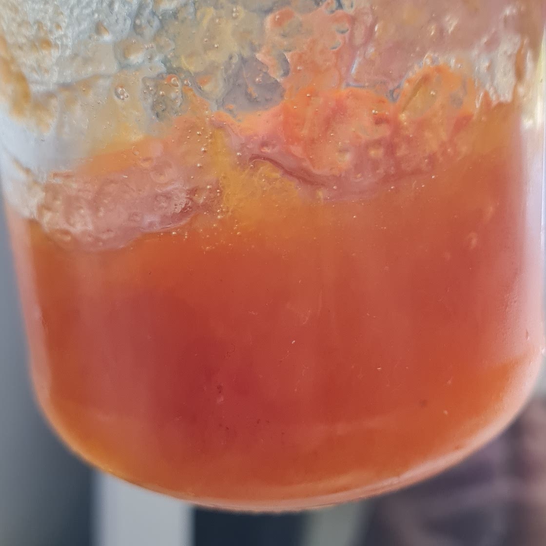Confiture abricot maison