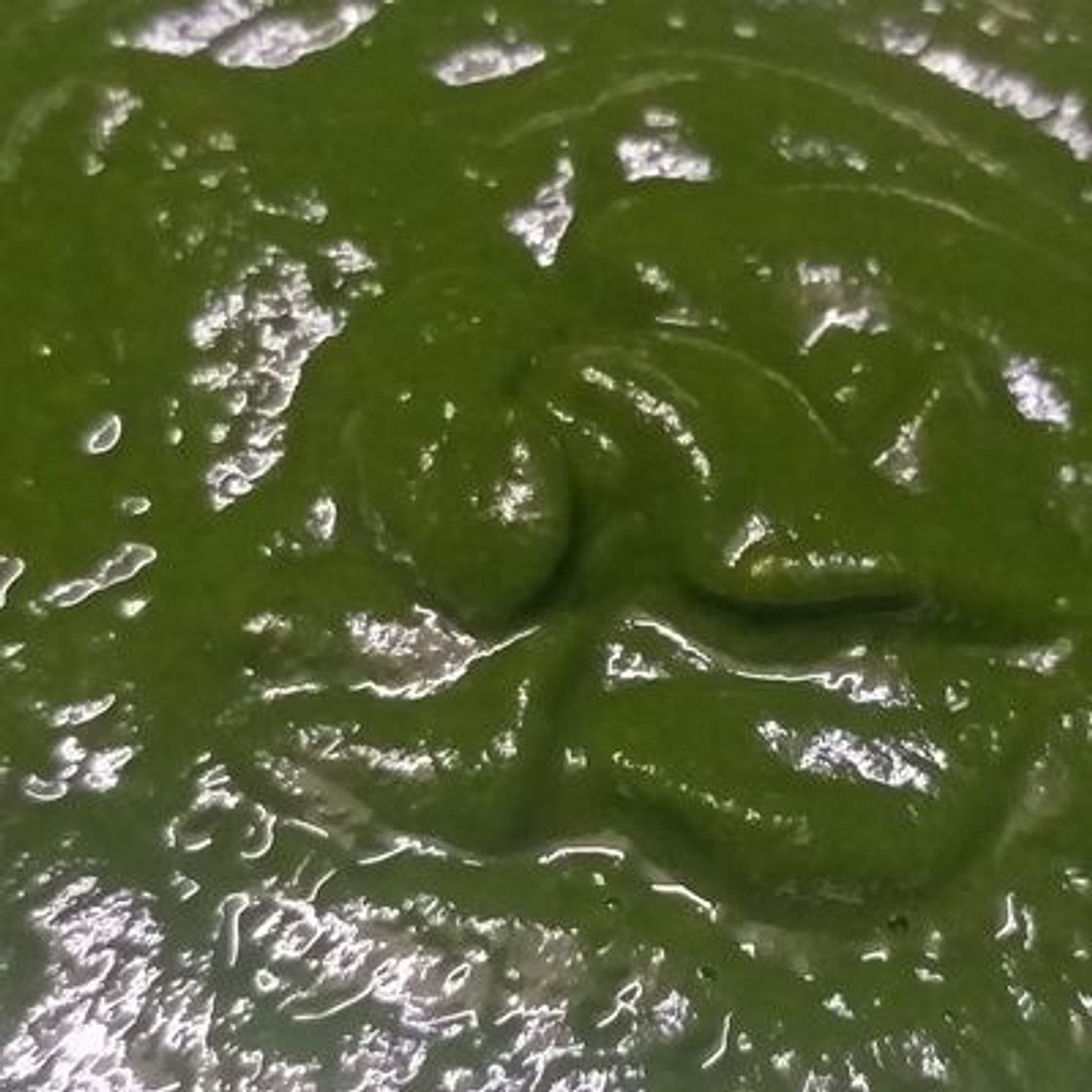 धनिया की मसालेदार चटनी (dhaniya chutney recipe in hindi)