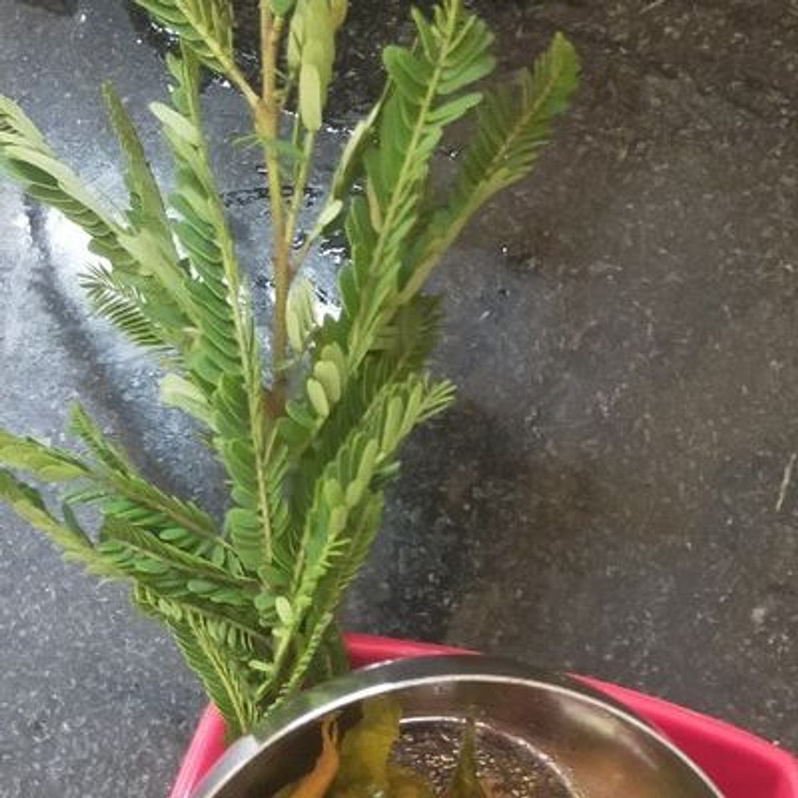 अदरक और मिर्ची का अचार (Ginger Or Mirchi Achar Recipe In Hindi)