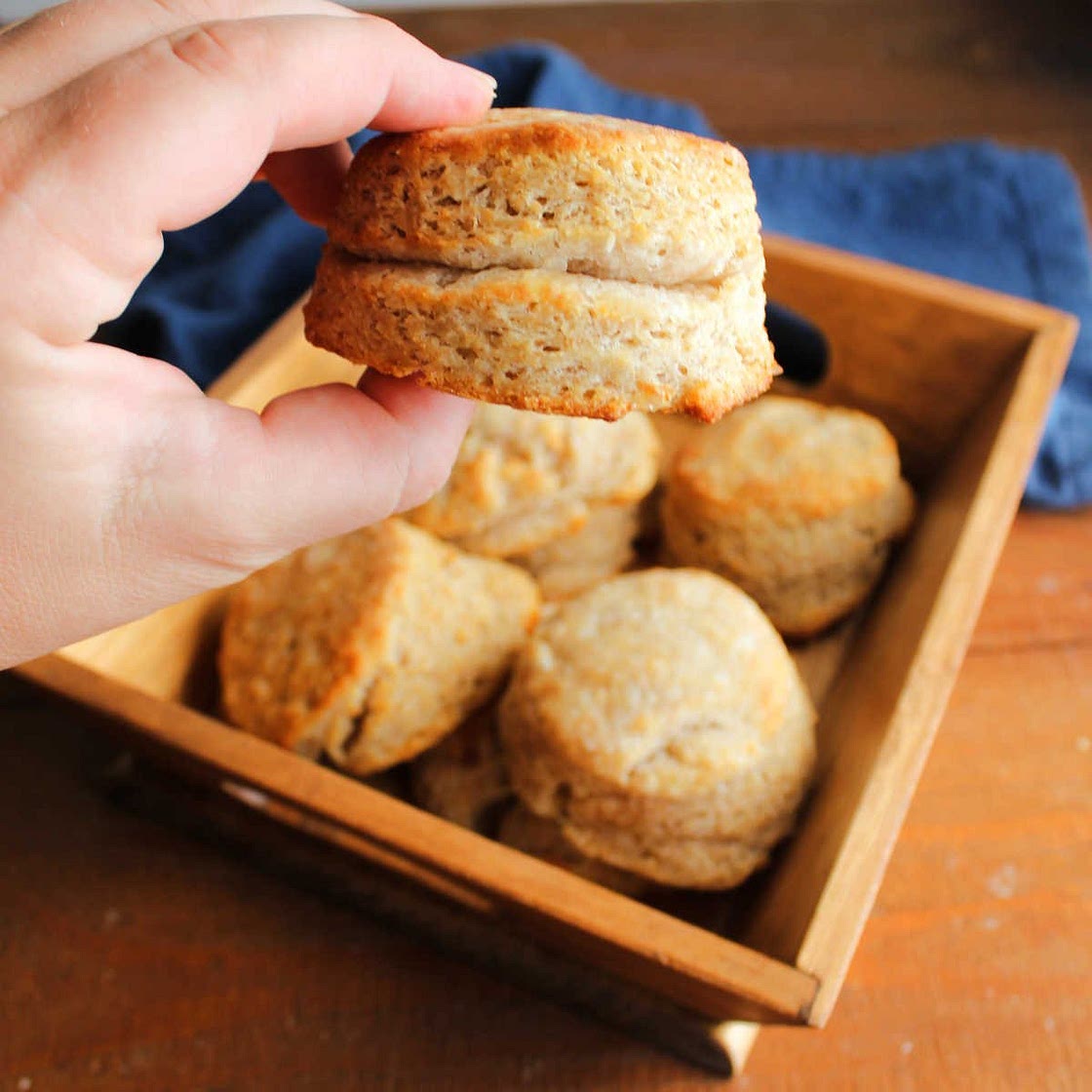 Sourdough Biscuits