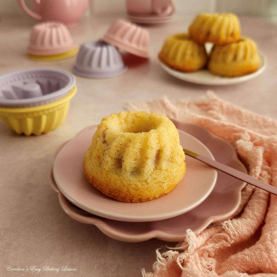 Air Fryer Mini Rhubarb Madeira Bundts