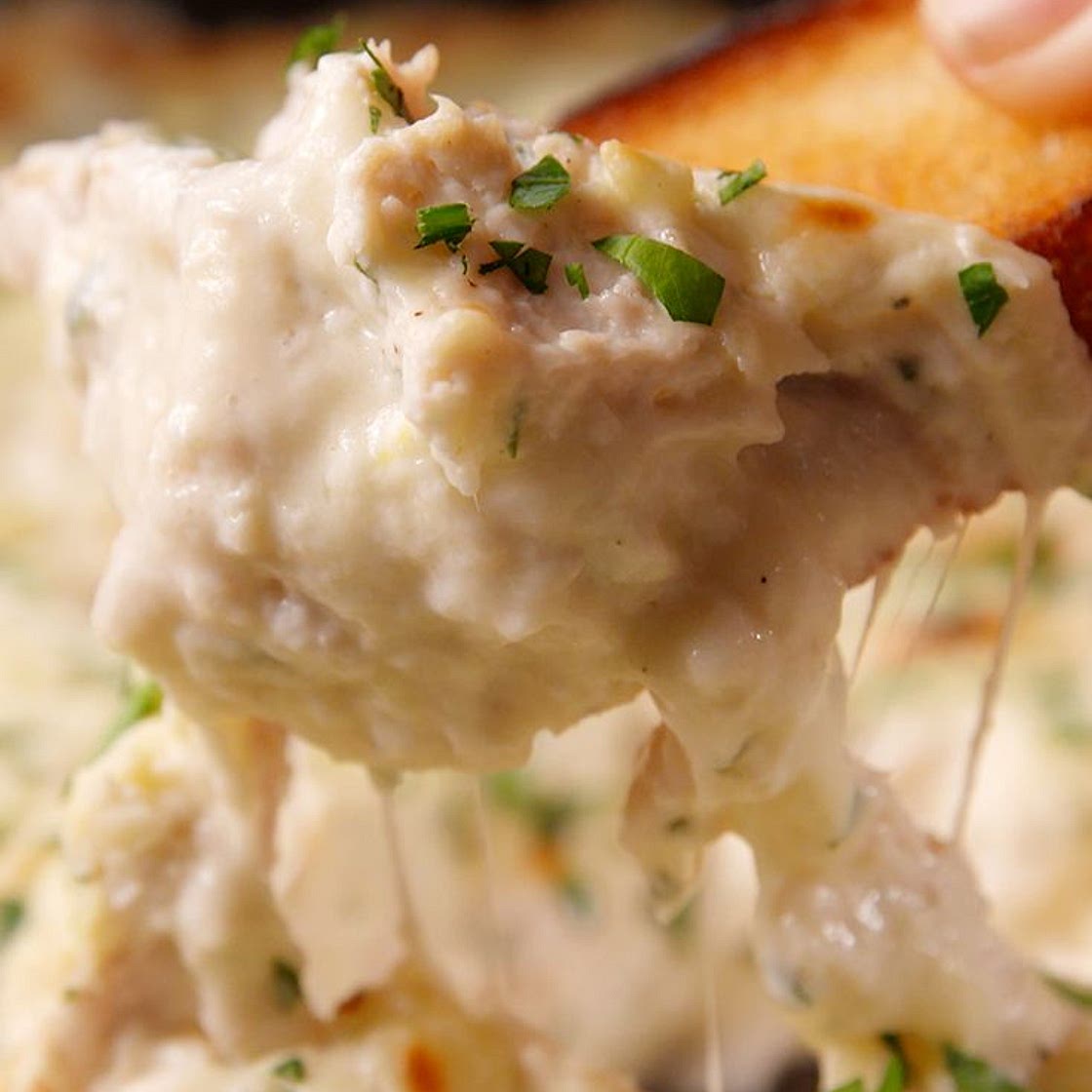 Chicken Alfredo Dip