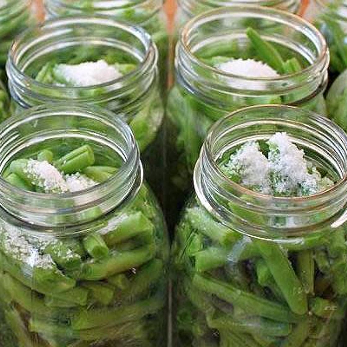 Seasoned Green Beans to Can