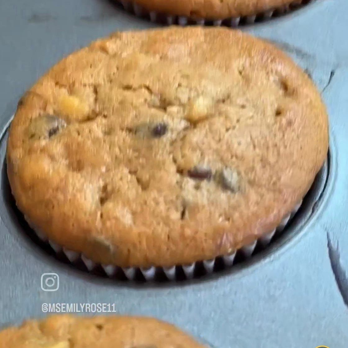 Flourless peanut butter banana muffins
