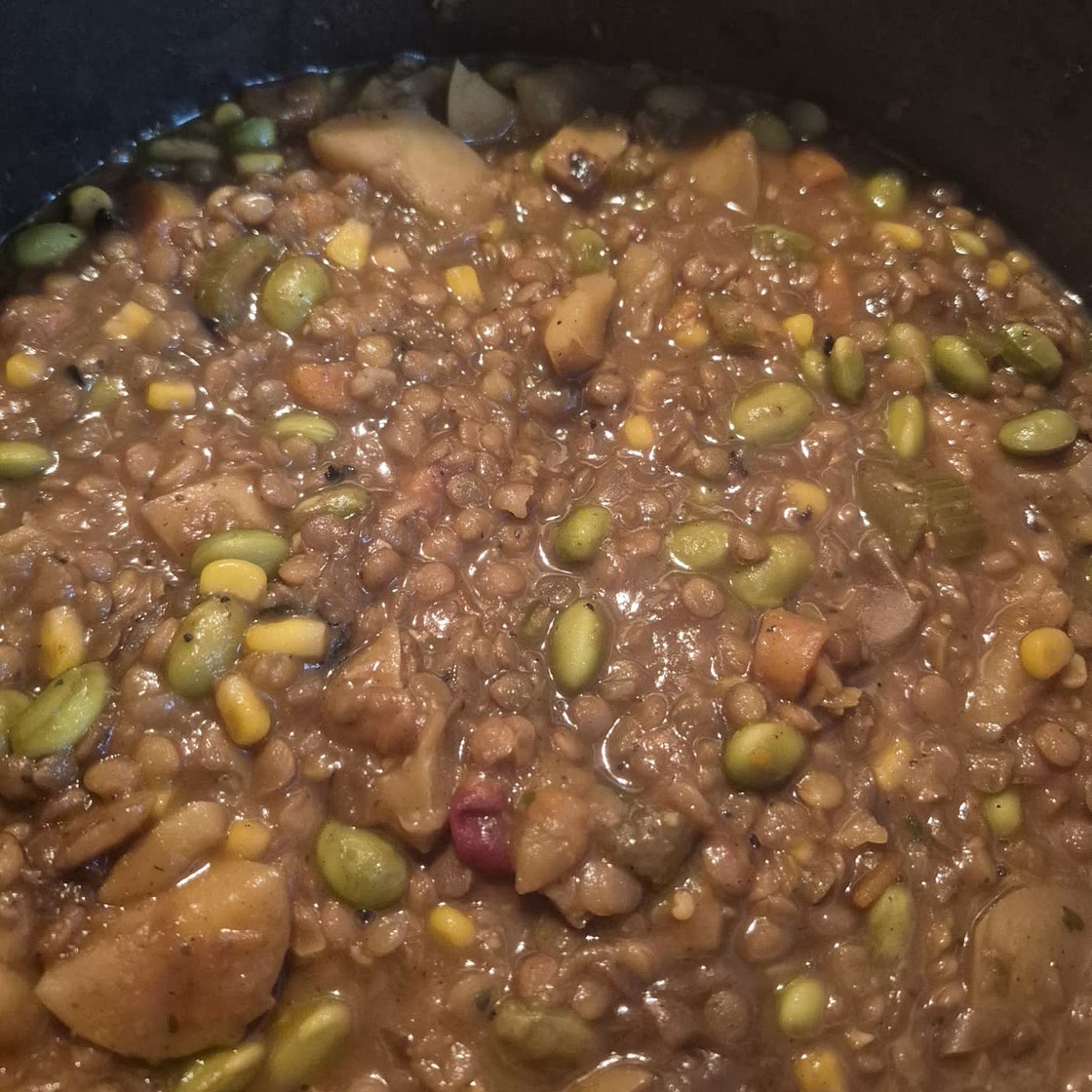 Vegan Winter Lentil Stew
