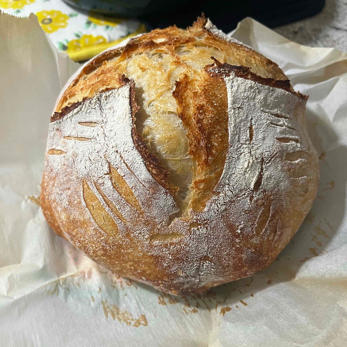 8 hr Sourdough Loaf