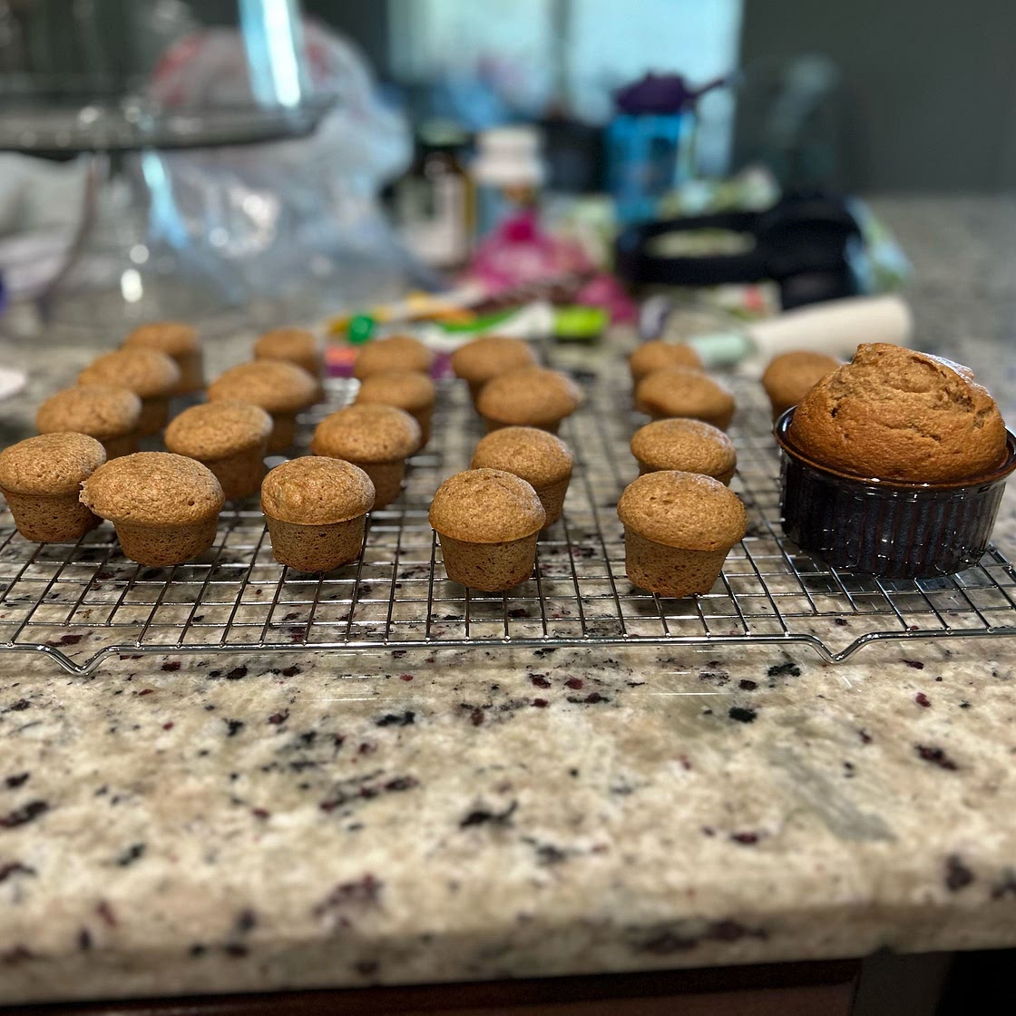 Apple lentil muffins