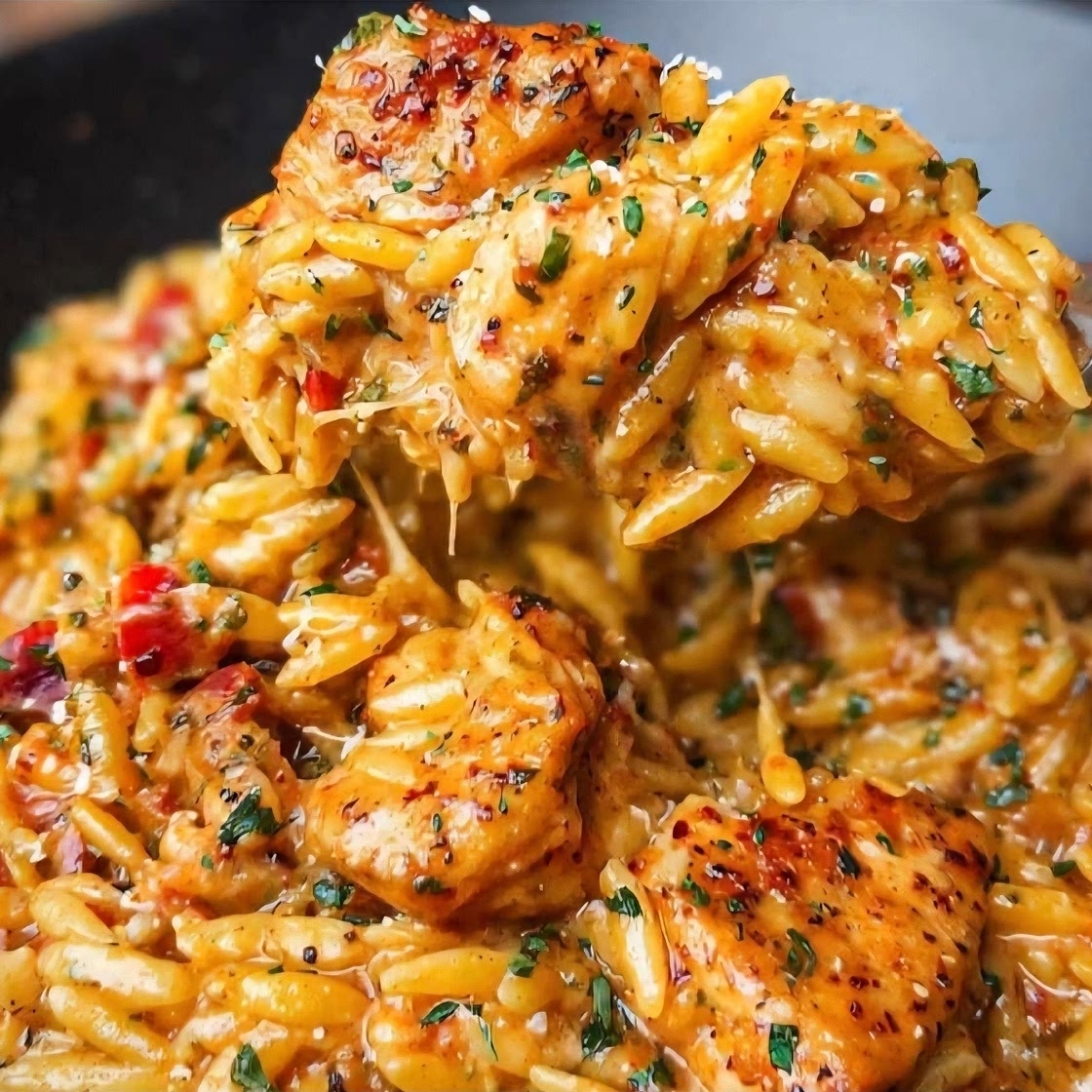 Creamy Cajun-Spiced Chicken Orzo Alfredo in One Pot