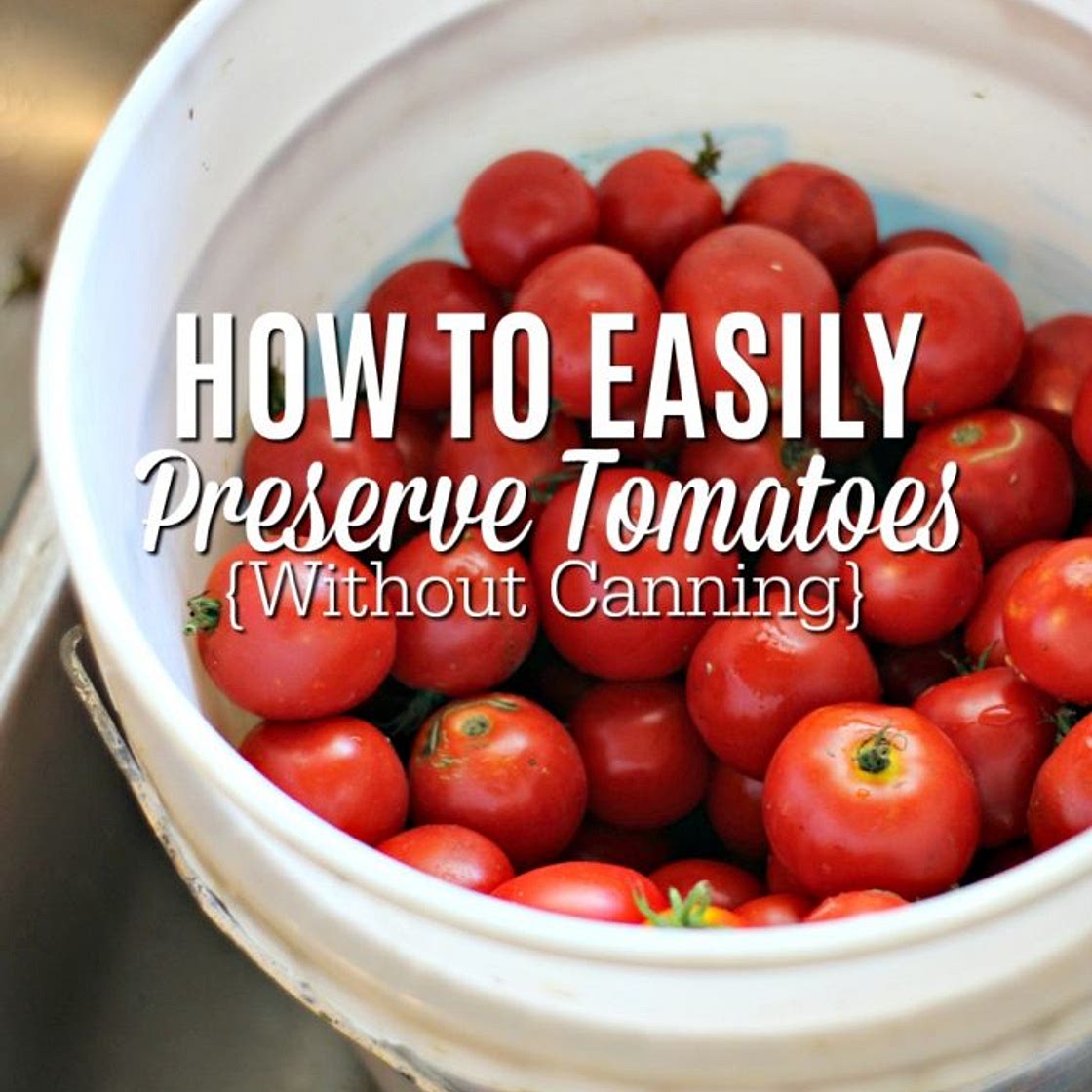 How To Freeze Tomatoes - Preserving Tomatoes Without Canning