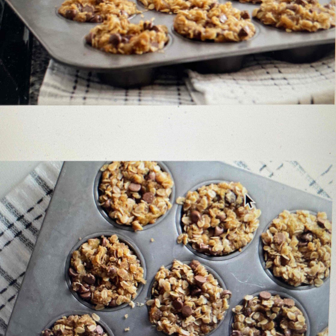 Gf Chocolate Chip Oatmeal Protein Muffins