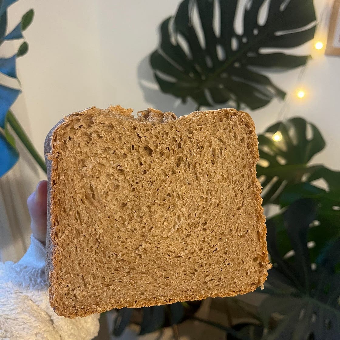 Pan integral en el horno de pan