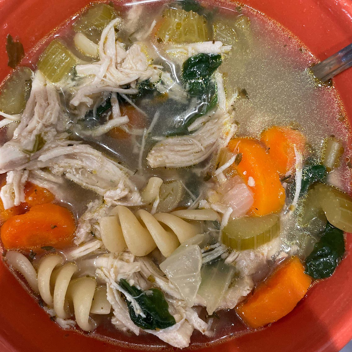 Instant Pot Chicken Noodle Soup
