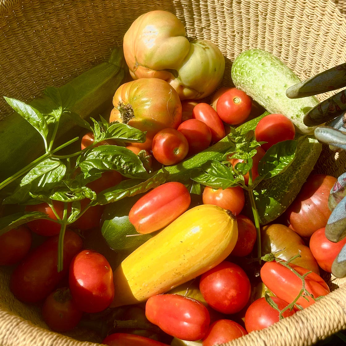 Windy Prospect Summer Garden Salad