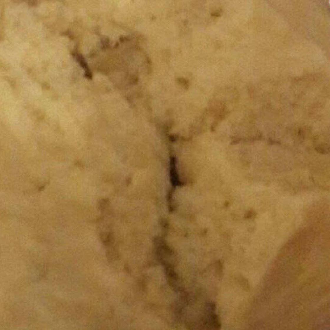 Ledombolo