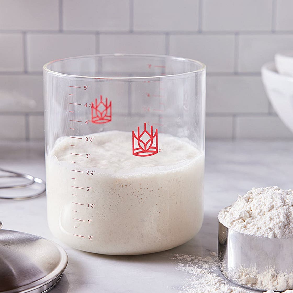 Sourdough Starter