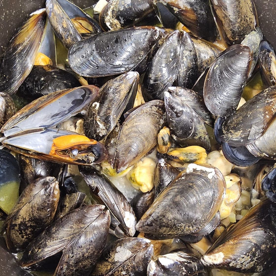 Mussels Garlic and Wine