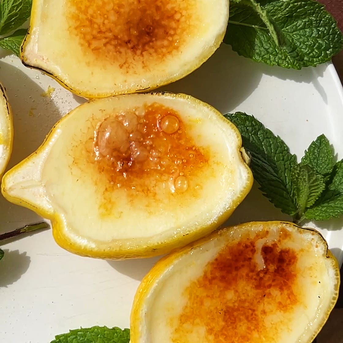 Lemon Posset