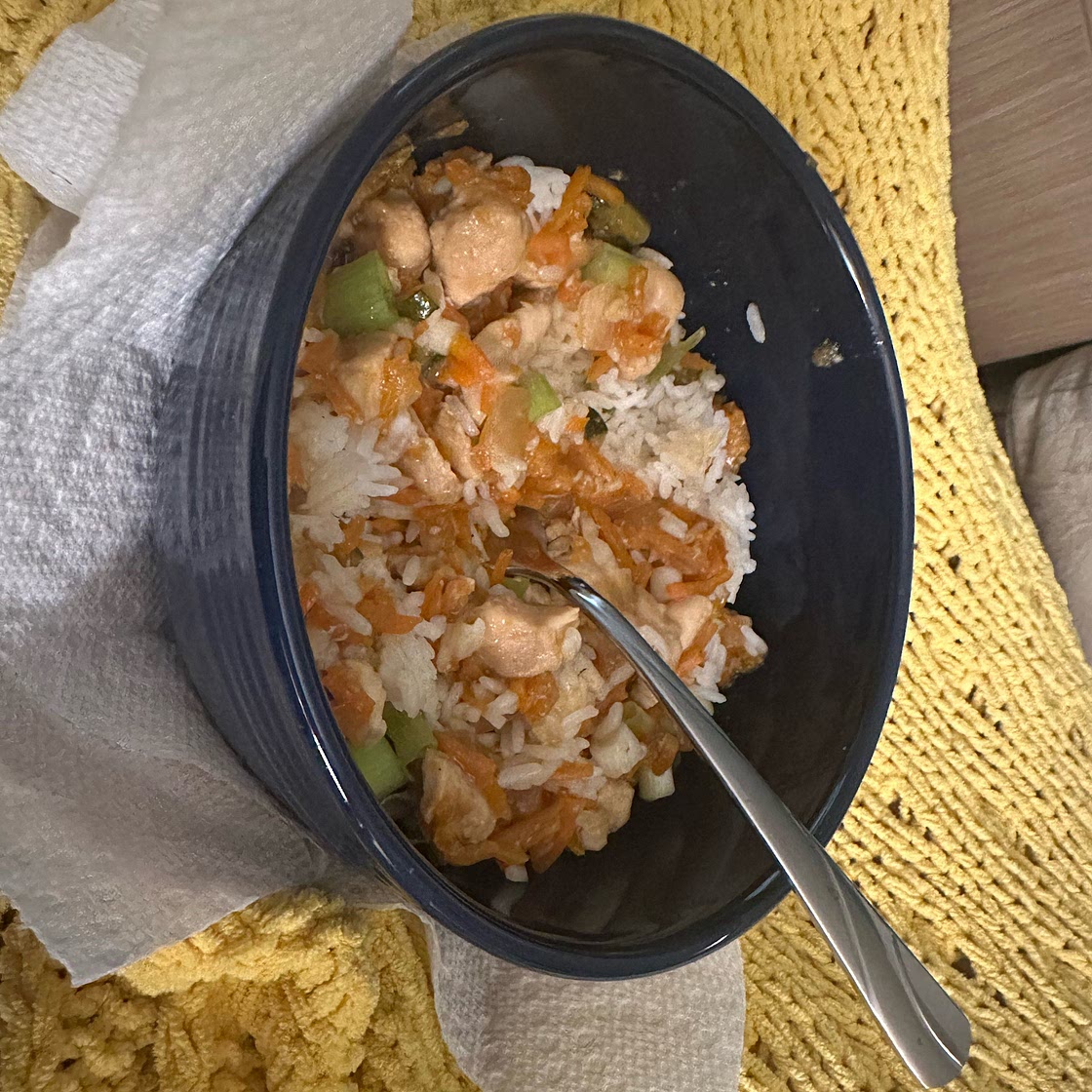 Instant Pot Hibachi Chicken