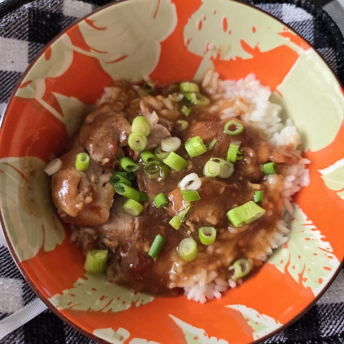 Honey Garlic Slow Cooker Chicken Thighs