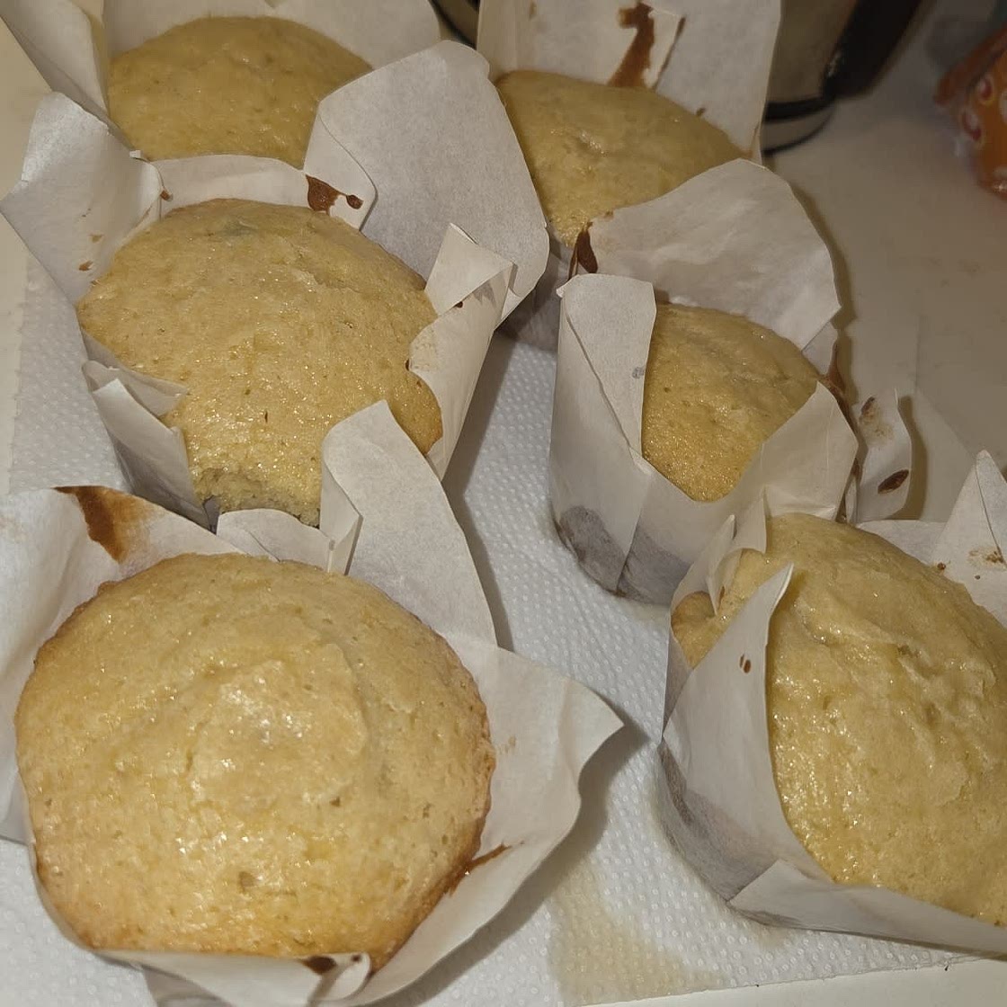 Blueberry marsh blueberry muffins