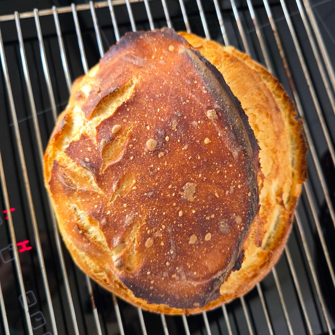 Brood
