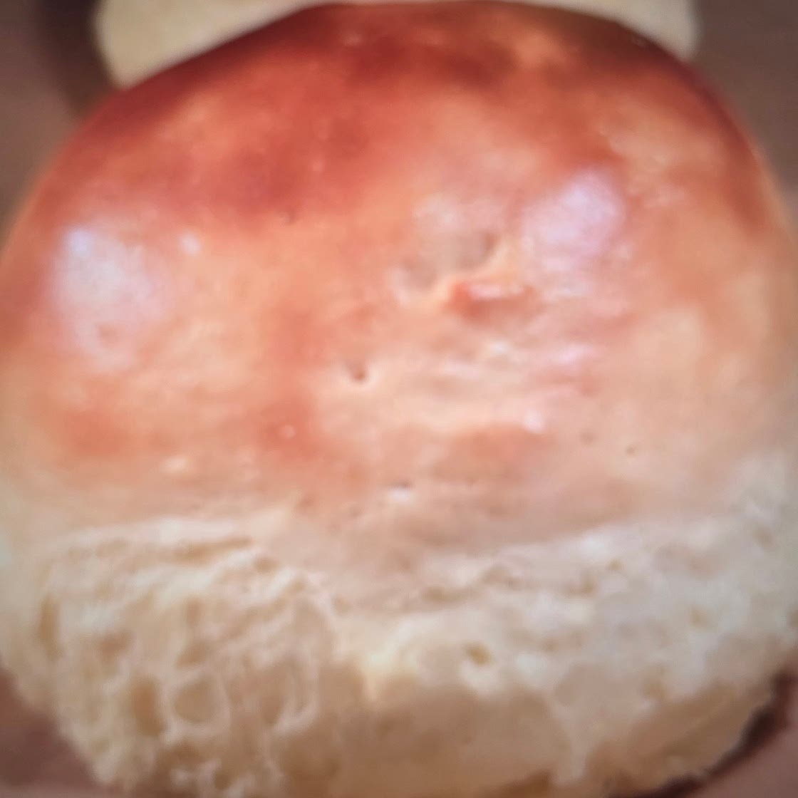Carnivore buns 3 ingredients