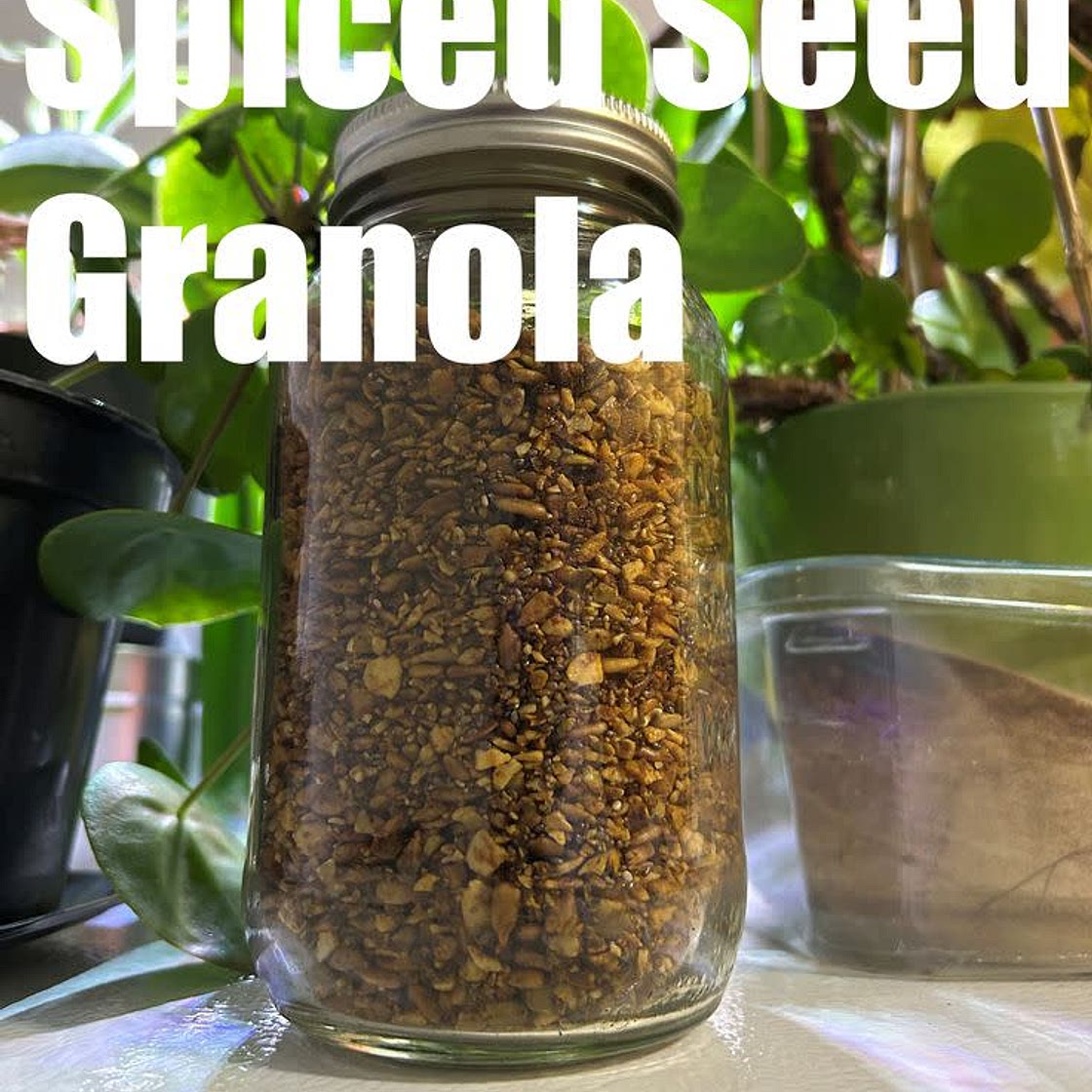 Spiced Seed Granola
