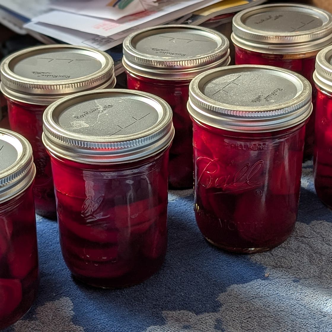 Pickled Beets