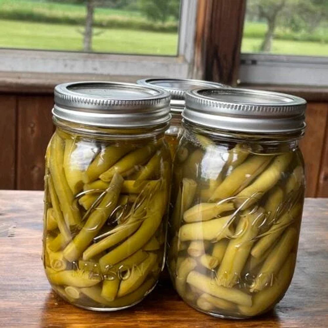 Pressure Canned Green Beans