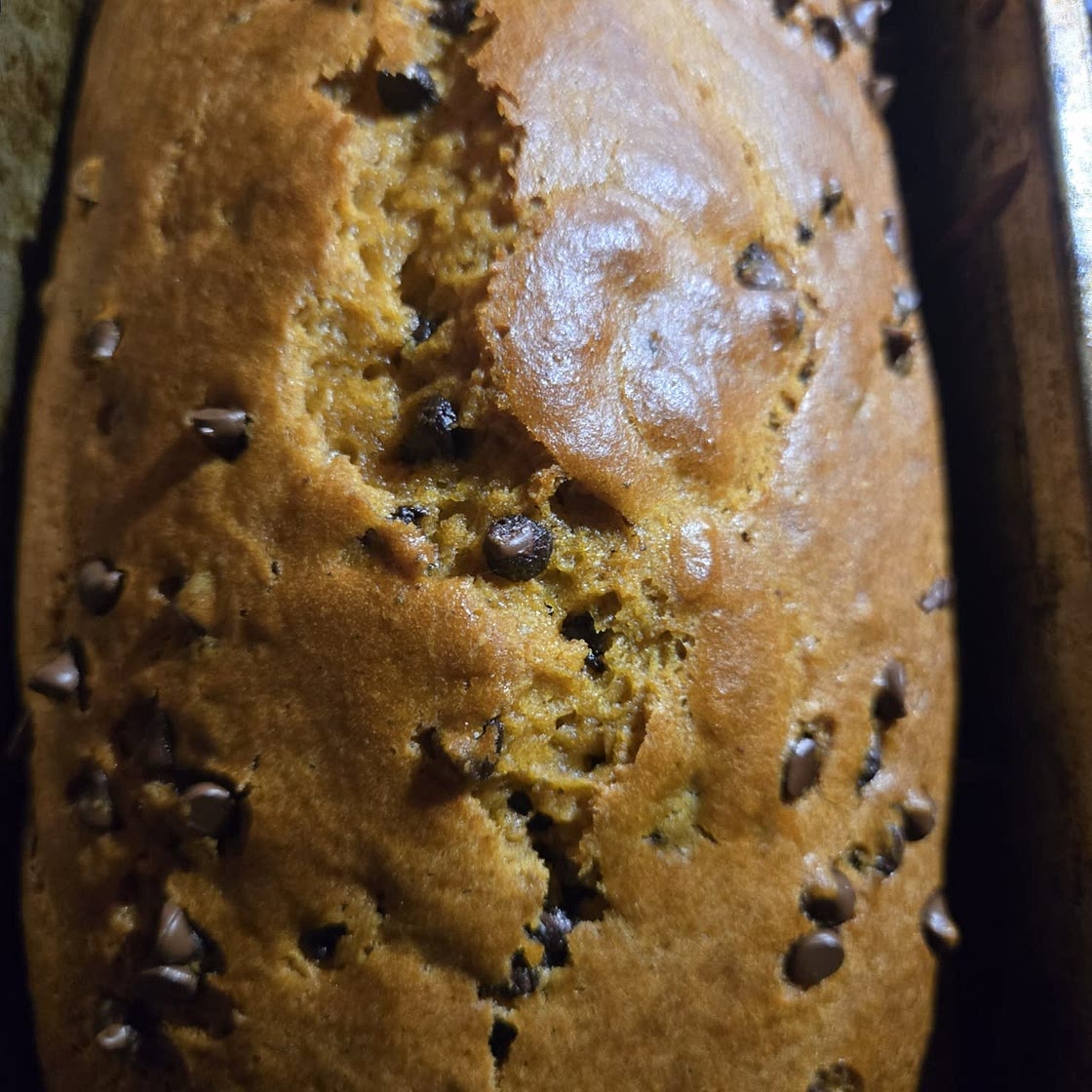 Pumpkin Bread