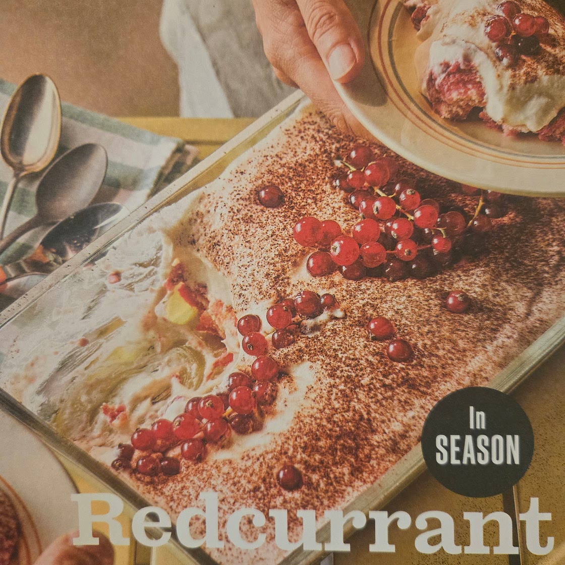 Redcurrant tiramisu