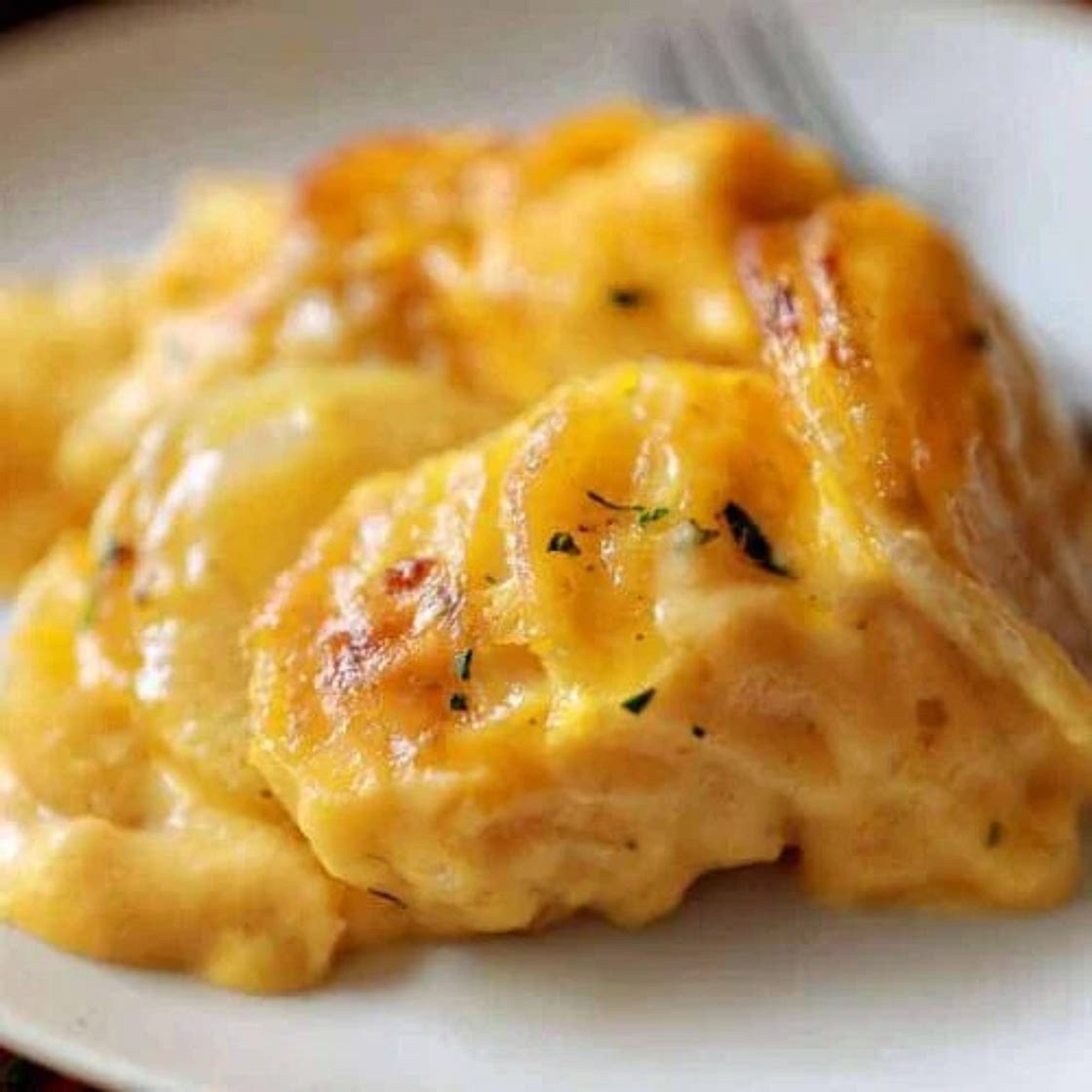 Cheesy scalloped potatoes