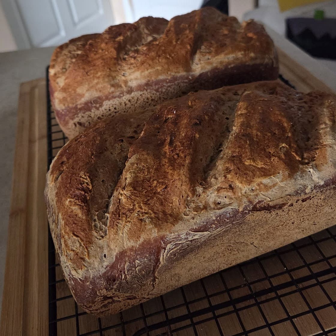 Easy Gluten Free Sandwich Bread