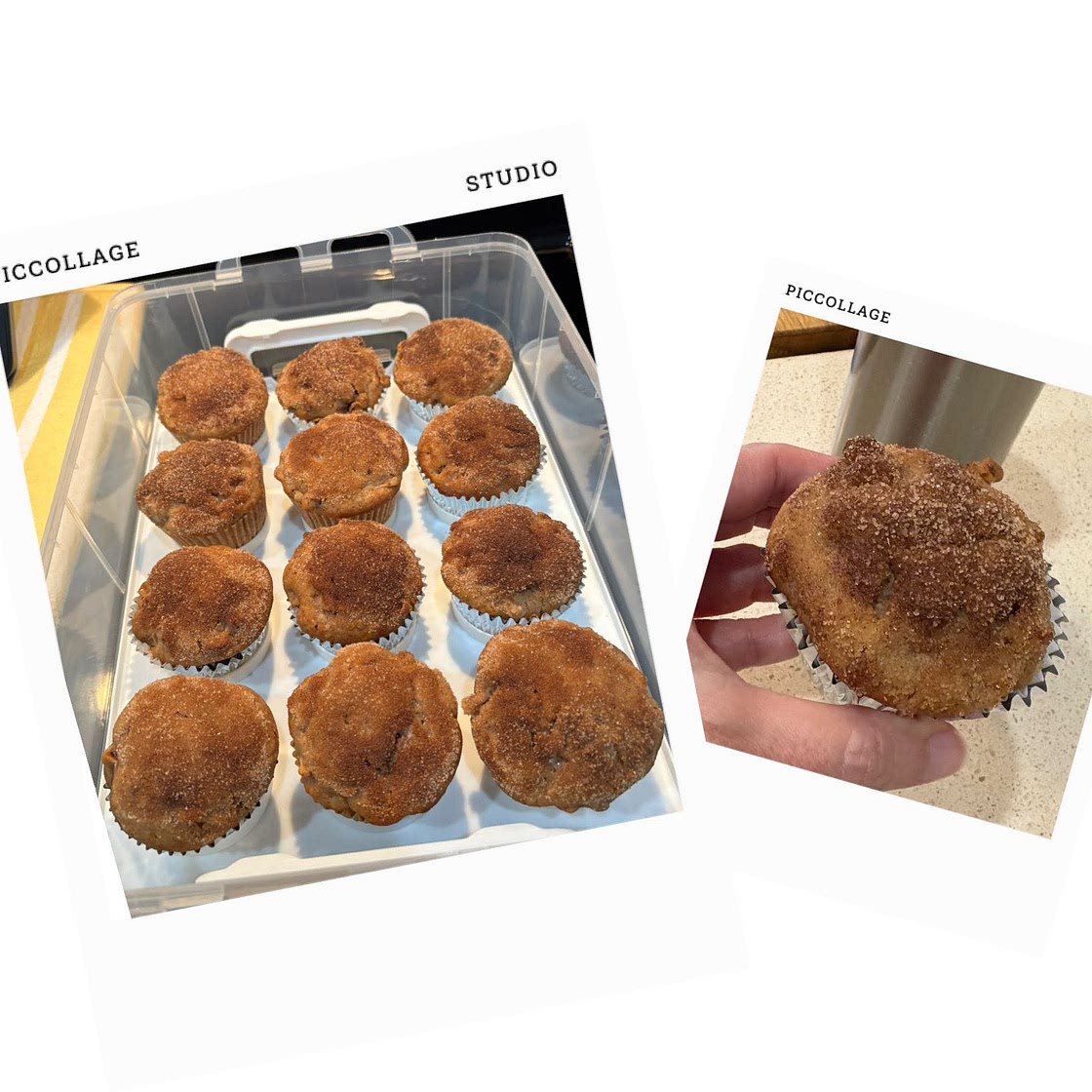 Cinnamon Apple Muffins Recipe