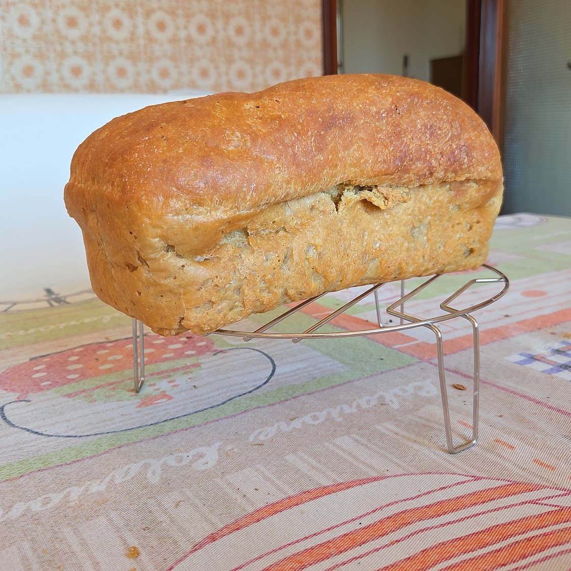 Pane proteico