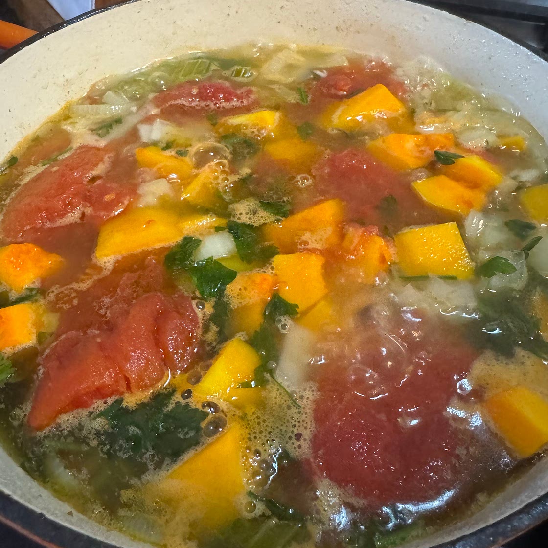 Autumn Vegetable Soup