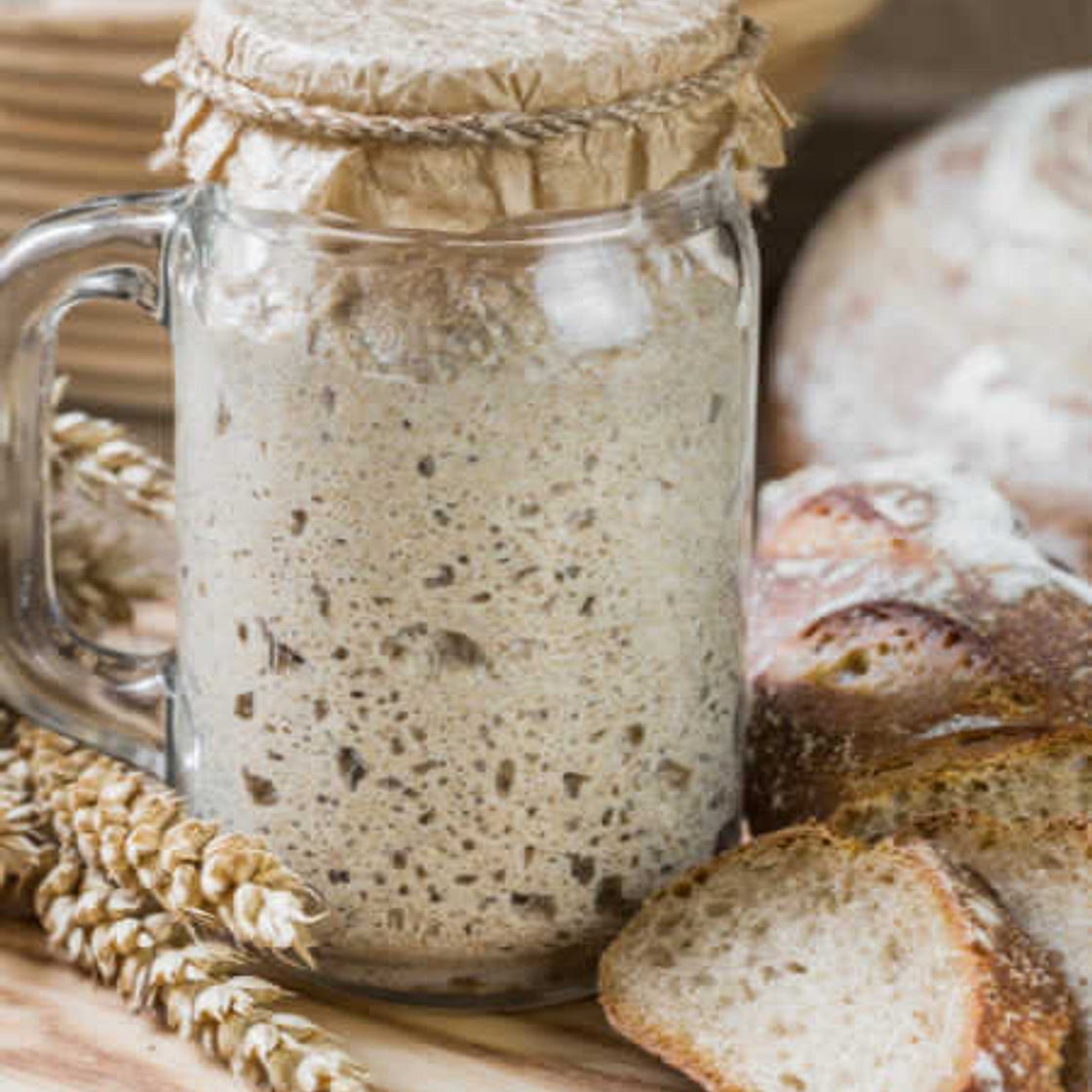 Sunil - Levain, Sourdough, or Starter