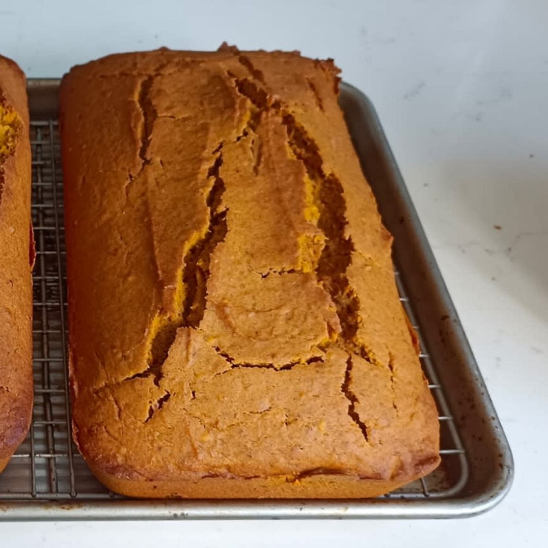 ๐ My Go-to Pumpkin Bread