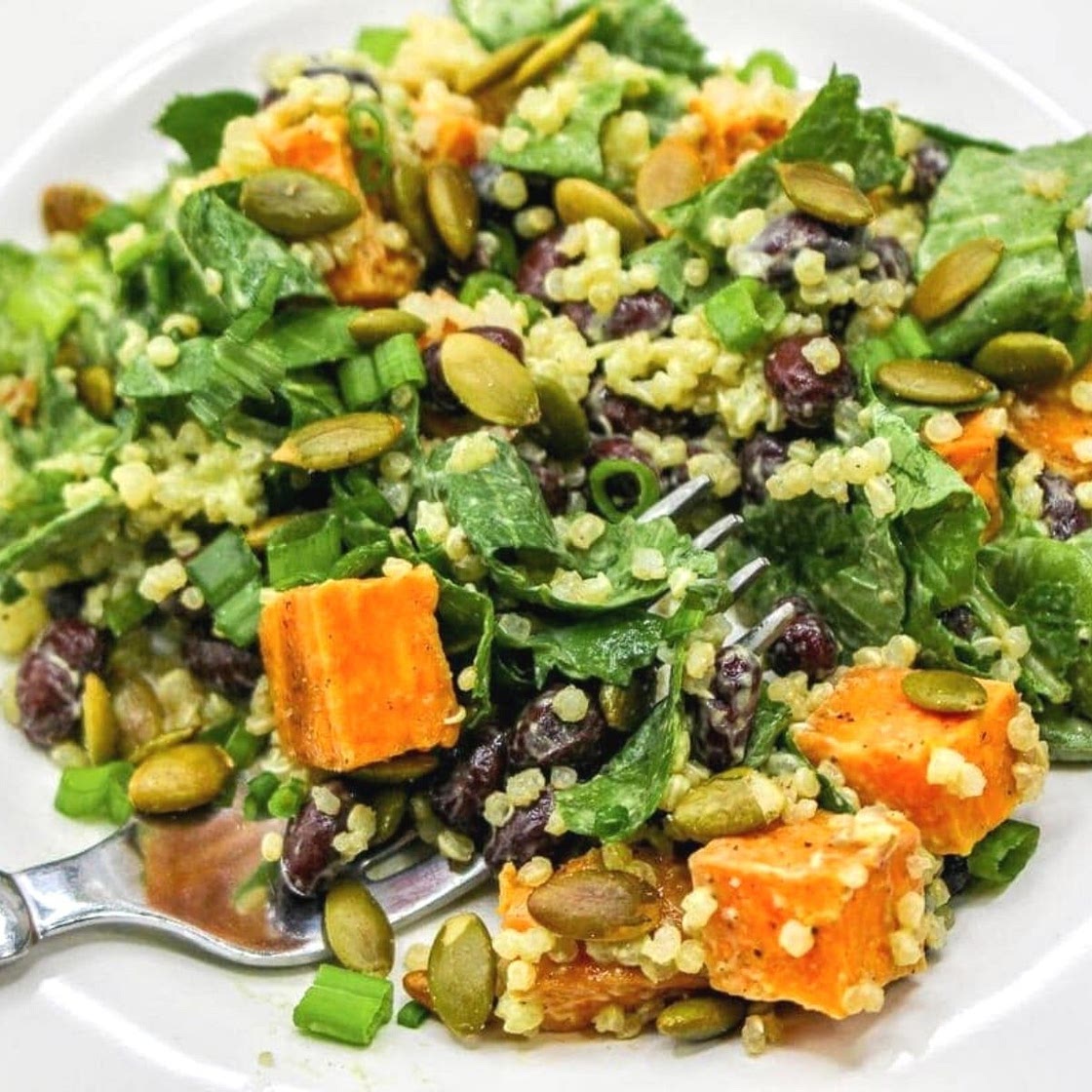 Winter Kale and Quinoa Salad with Avocado Dressing Salad