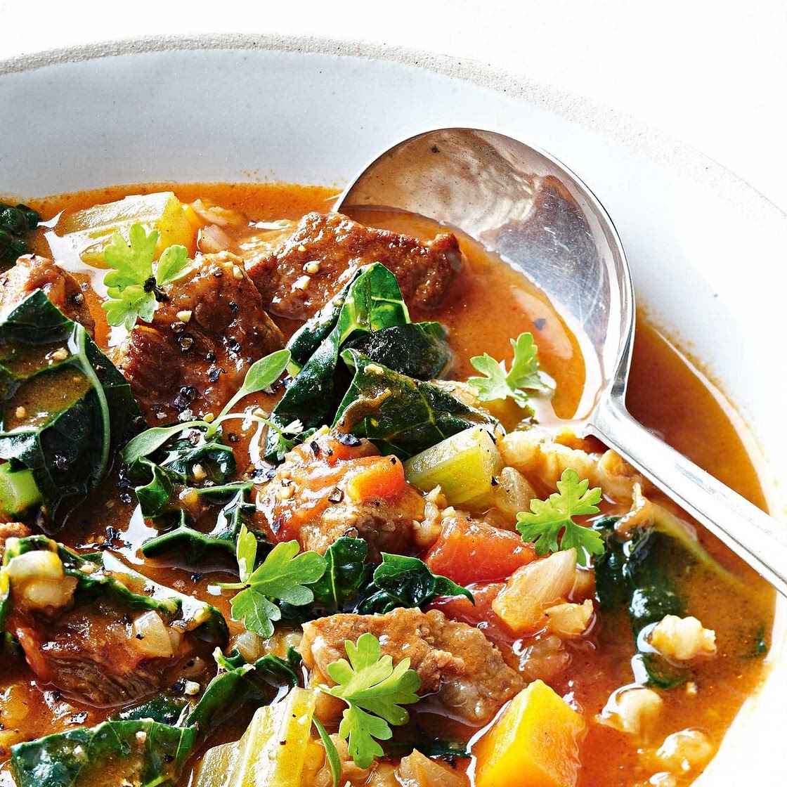 Slow-cooked beef and barley soup