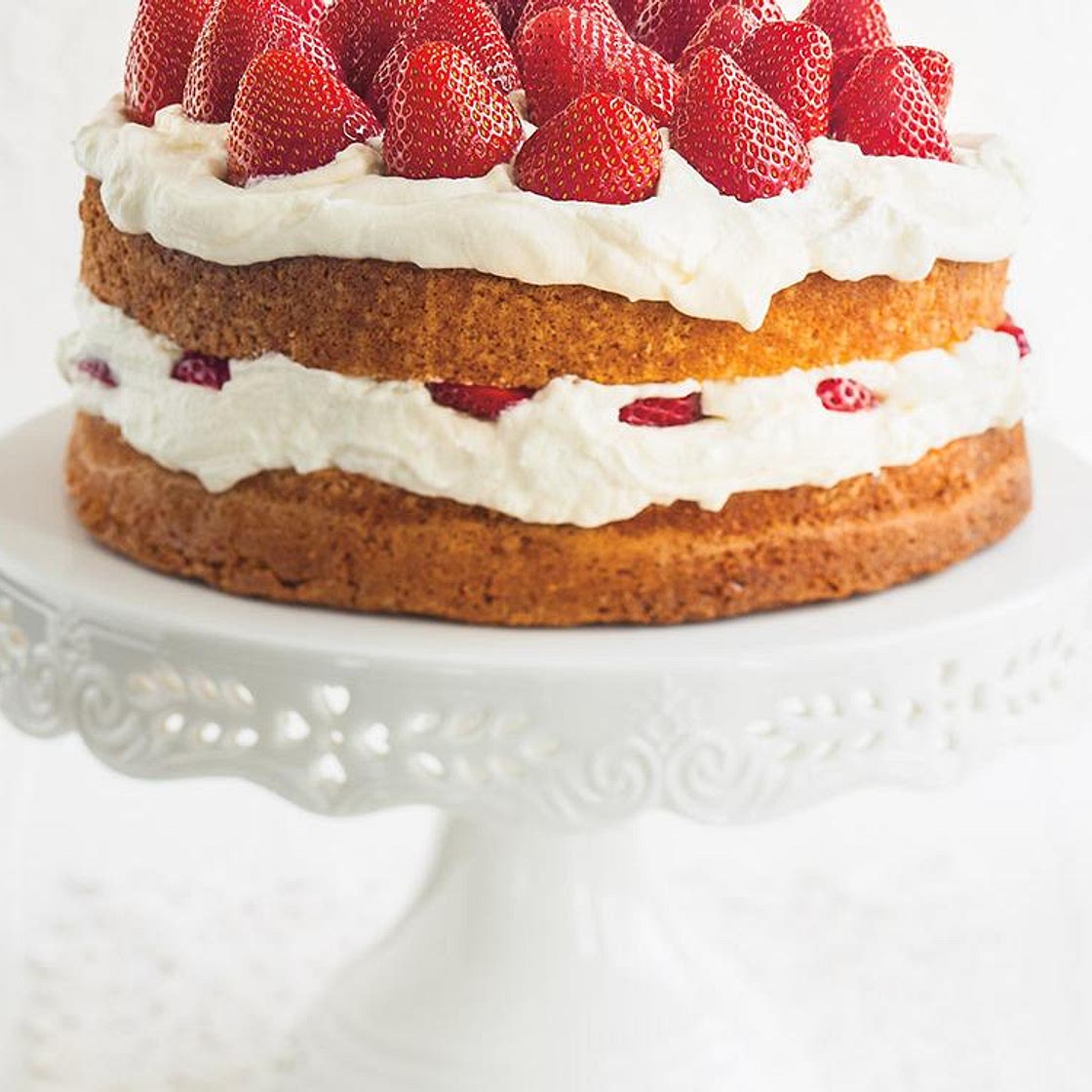 Strawberry Shortcake (The Best)