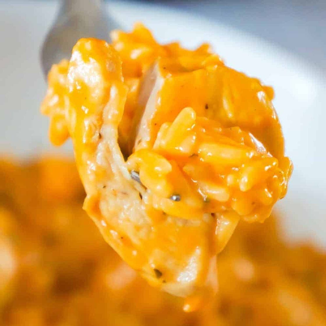 Instant Pot Tomato Basil Chicken and Rice