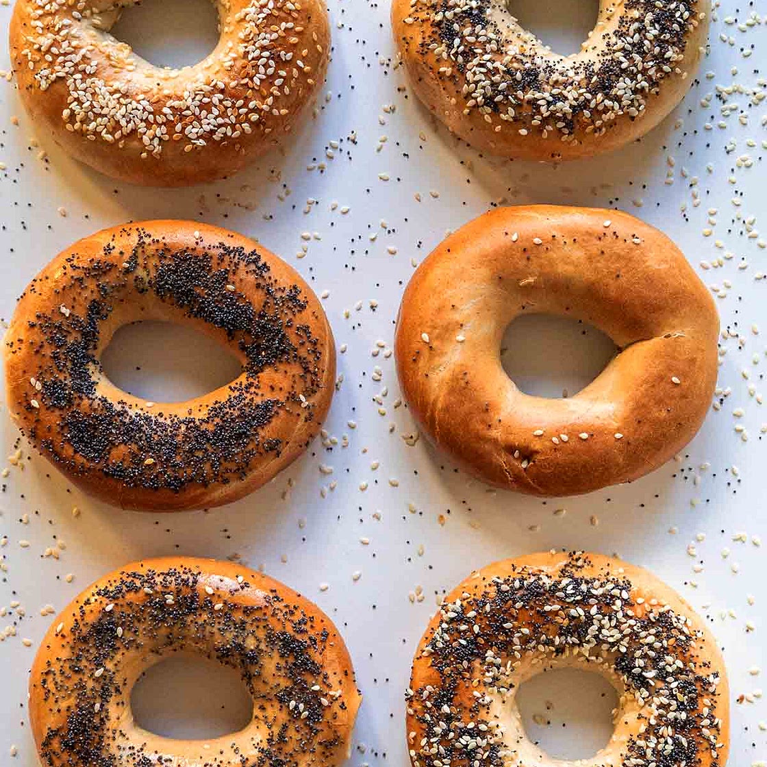 Homemade Bagels Recipe (NY Style!)