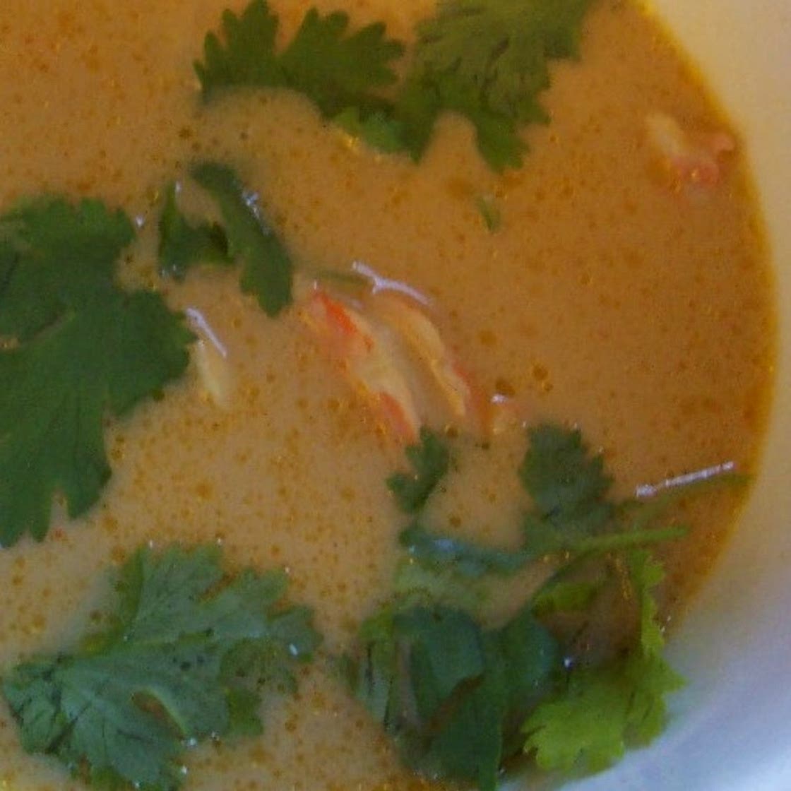 The Best Thai Coconut Soup
