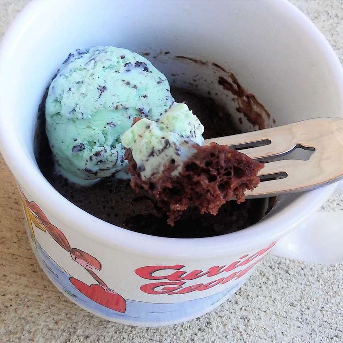 Chocolate Ice Cream Mug Cake