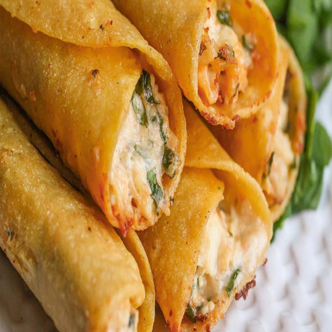 Cream Cheese and Chicken Taquitos