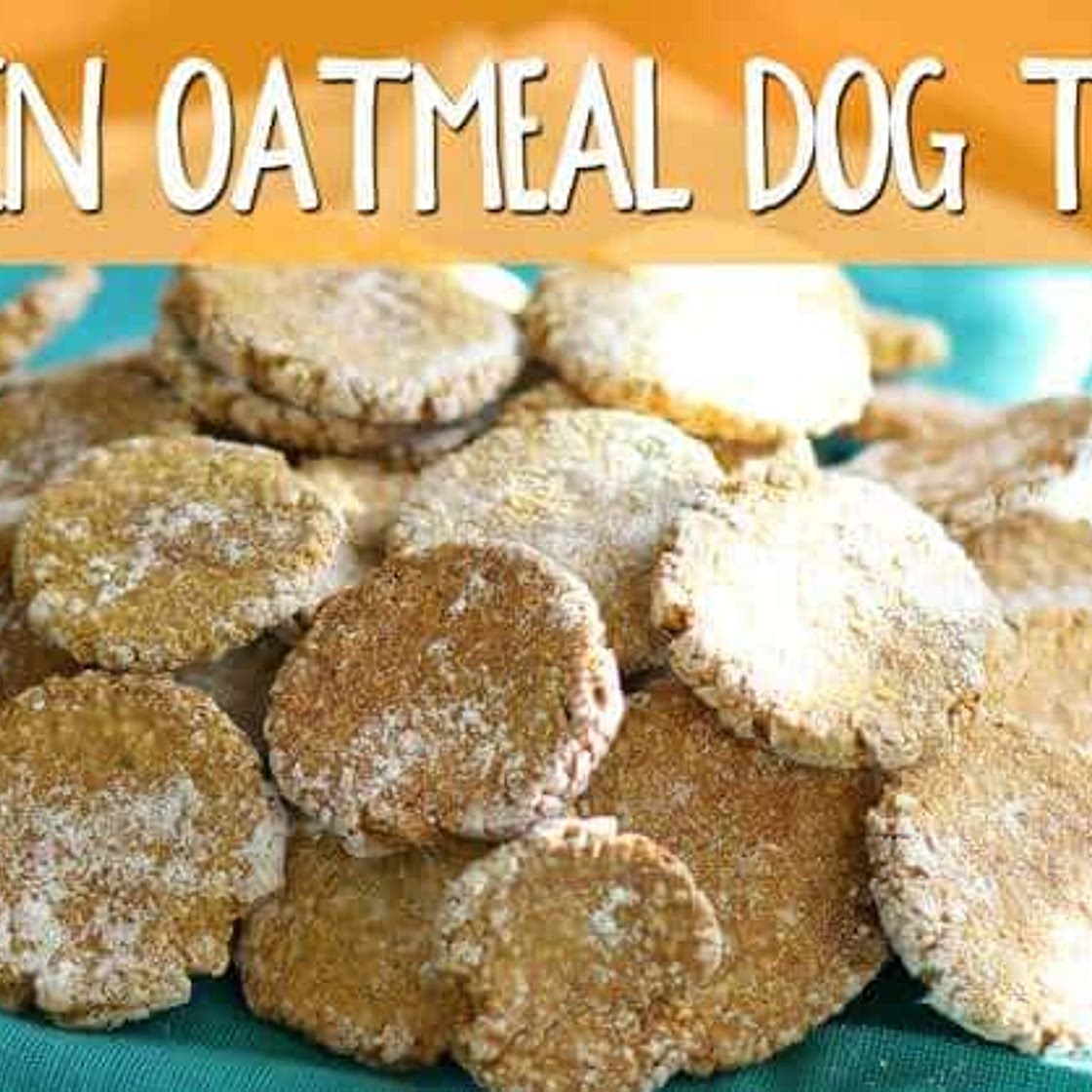 Pumpkin Oatmeal Dog Treats
