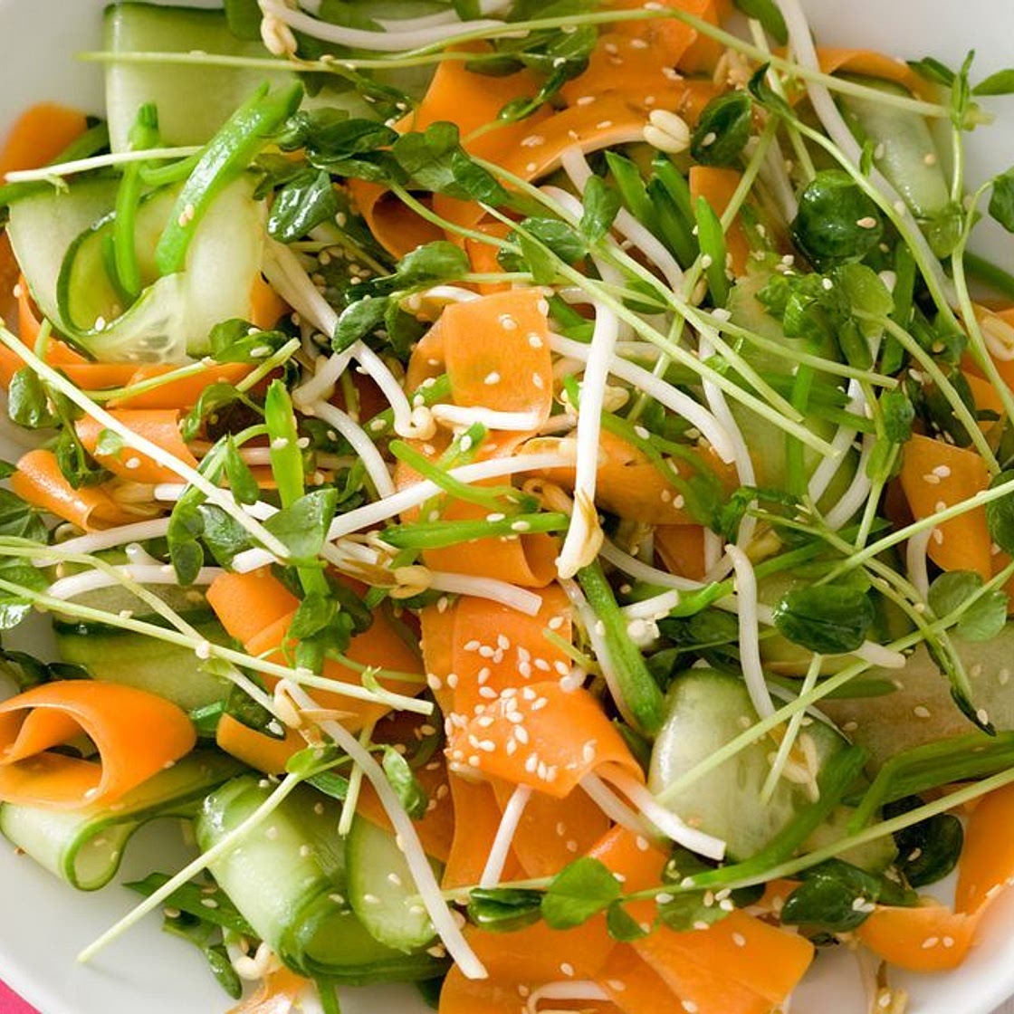 Asian carrot and sprout salad